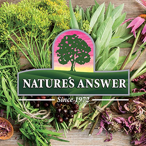 Garlic Extract 1 FL Oz  by Nature's Answer