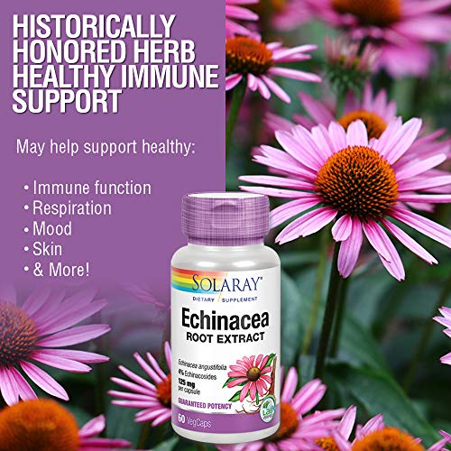 Solaray Echinacea Angustifolia Root Extract 125 mg | 60 VegCaps