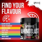 Warrior Amino Blast BCAA Powder - Strawberry Kiwi 270g