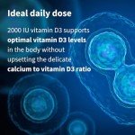 Daily Vitamin D3 2000iu - 365 Tablets