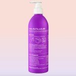 Eco-Friendly Laundry Detergent – Lavender Scent, 16 Fl Oz