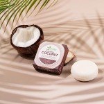 BAMBOEARTH Organic Shampoo & Conditioner Bar - Coconut