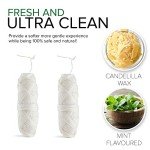 Biodegradable Mint Dental Floss - Eco-Friendly Duo