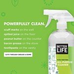 Eco-Friendly All-Purpose Cleaner Spray - 32oz (2 Pack)