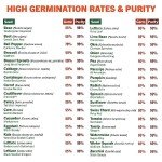 15,000 Non-GMO Heirloom Vegetable Seed Pack