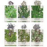 Culinary Herb Seeds Variety Pack (12 Types)
