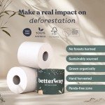 Eco-Friendly Bamboo Toilet Paper - 12 Rolls