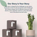 Eco-Friendly 3-Ply Toilet Paper - 24 Rolls