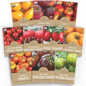 Organic Tomato Seeds Variety Pack - 10 Packs