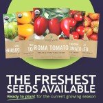 Organic Tomato Seeds Variety Pack - 10 Packs