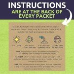 Organic Tomato Seeds Variety Pack - 10 Packs