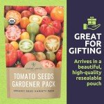 Organic Tomato Seeds Variety Pack - 10 Packs