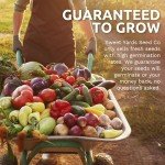 Organic Tomato Seeds Variety Pack - 10 Packs