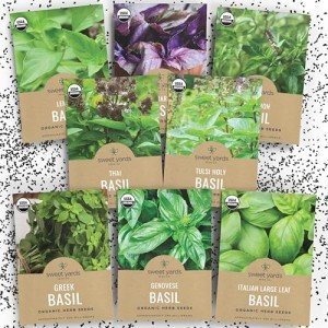Organic Basil Seeds Variety Pack - 8 Types