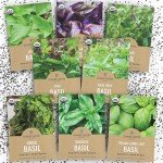 Organic Basil Seeds Variety Pack - 8 Types