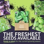 Organic Basil Seeds Variety Pack - 8 Types