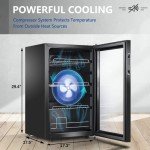 STAIGIS 2.5 Cu.ft Mini Beverage Refrigerator