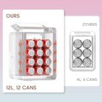 Advwin 12L Mini Fridge with LED Light Mirror