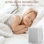 Advwin 12L Mini Fridge with LED Light Mirror