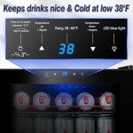 STAIGIS Mini Beverage Fridge with Glass Door