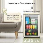Anypro Retro Mini Fridge with Glass Door