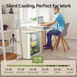 Anypro Retro Mini Fridge with Glass Door