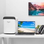 Cooluli 10L Portable Mini Fridge for Drinks