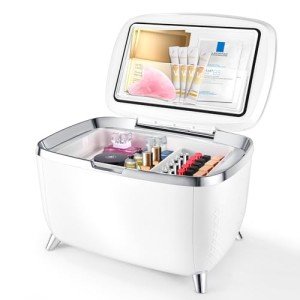 6L Mini Fridge for Skincare and Beverages