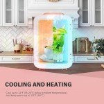 YSSOA 4L Mini Cooler and Warmer Fridge
