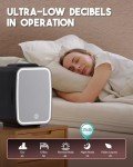 BEICHEN 4L Mini Skincare Fridge with LED Mirror