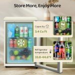 Anypro 3.4 Cu.Ft Retro Beverage Cooler Fridge