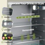 Anypro 3.4 Cu.Ft Retro Beverage Cooler Fridge
