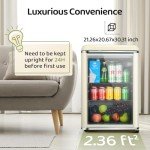Anypro 3.4 Cu.Ft Retro Beverage Cooler Fridge