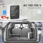 Electactic 10L Portable Mini Fridge for Drinks