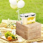 3.5L Drink Dispenser with Spigot for Parties