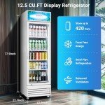 BODEGACOOLER 12.5 Cu.Ft Beverage Display Fridge