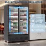 IDEALHOUSE 35.3 Cu.Ft Glass Door Drink Cooler