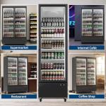 IDEALHOUSE 35.3 Cu.Ft Glass Door Drink Cooler