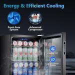 STAIGIS 2.5 Cu.ft Mini Beverage Refrigerator