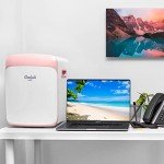 Compact 15L Mini Fridge for Drinks and Snacks