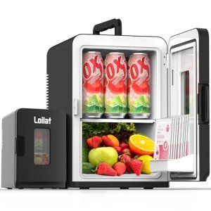 15L Portable Mini Fridge for Home and Car