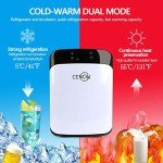 15L Portable Mini Fridge for Skincare and Drinks