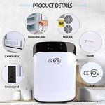 15L Portable Mini Fridge for Skincare and Drinks