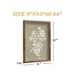 Boho Botanical Wall Art Set of 4