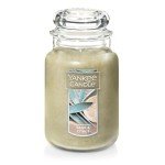 Sage & Citrus 22oz Large Jar Candle