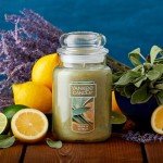 Sage & Citrus 22oz Large Jar Candle
