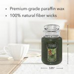 Balsam & Cedar Scented Large Jar Candle 22oz