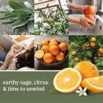 Sage & Citrus 22oz Large Jar Candle