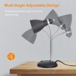 LEPOWER Adjustable Metal Desk Lamp in Matte Black