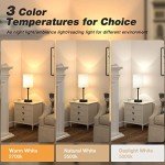 Versatile Bedside Table Lamp with USB Ports